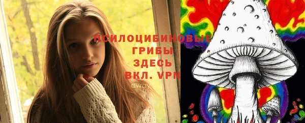 шишки Аркадак