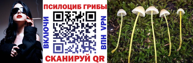 Псилоцибиновые грибы Magic Shrooms  закладка  Снежногорск 
