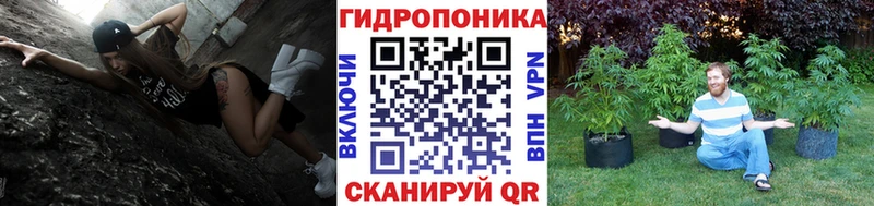 Конопля план  MEGA зеркало  Снежногорск 